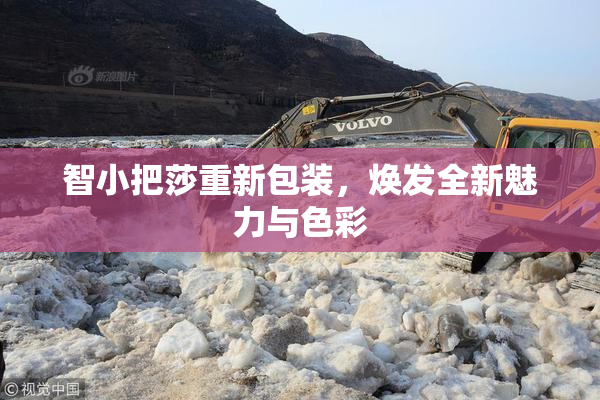 智小把莎重新包装，焕发全新魅力与色彩
