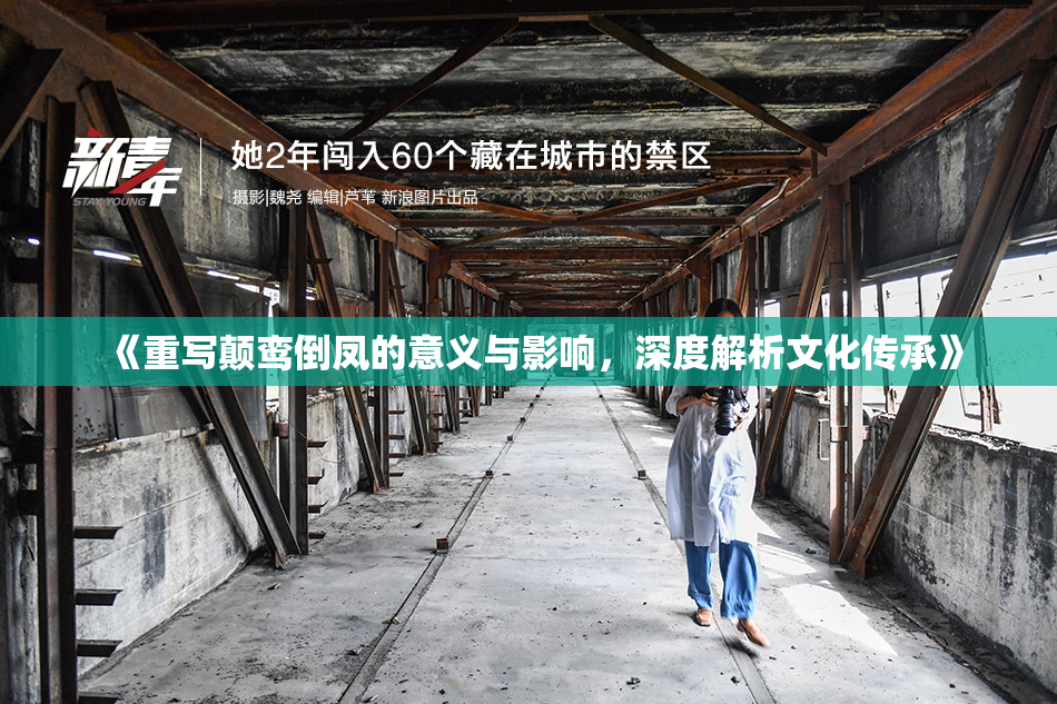 《重写颠鸾倒凤的意义与影响，深度解析文化传承》