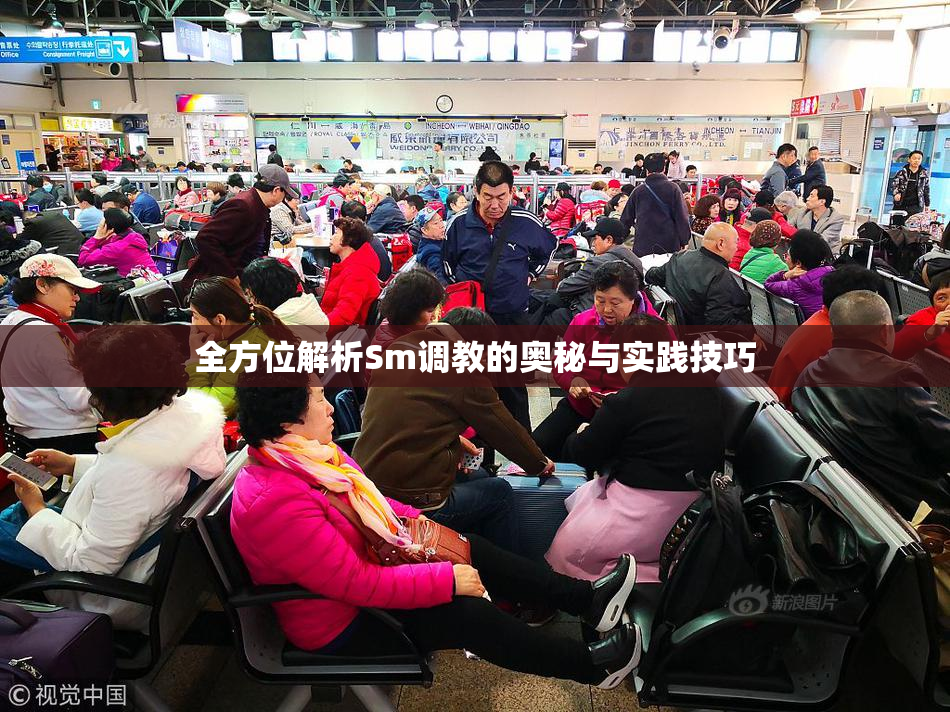 全方位解析Sm调教的奥秘与实践技巧