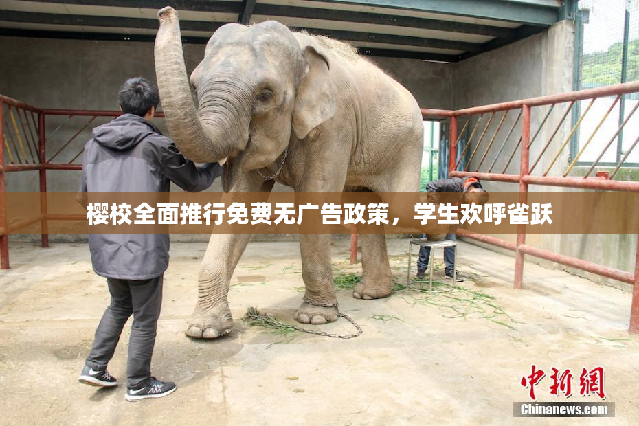 樱校全面推行免费无广告政策，学生欢呼雀跃