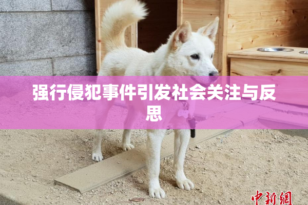 强行侵犯事件引发社会关注与反思