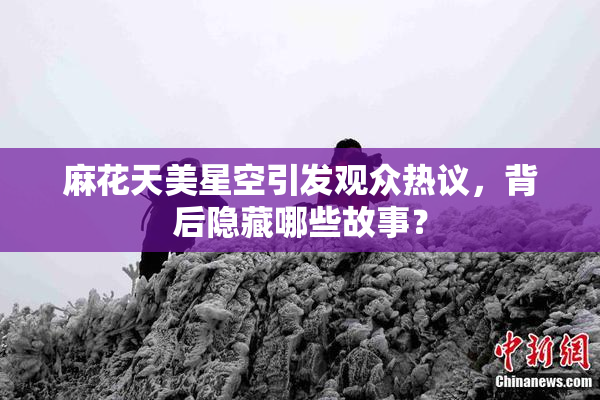 麻花天美星空引发观众热议，背后隐藏哪些故事？