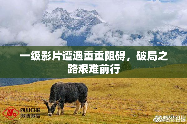 一级影片遭遇重重阻碍，破局之路艰难前行
