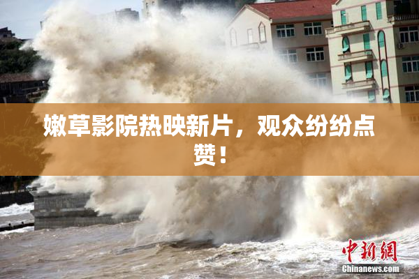 嫩草影院热映新片，观众纷纷点赞！