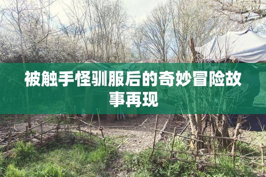 被触手怪驯服后的奇妙冒险故事再现