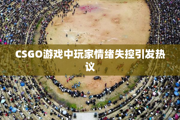 CSGO游戏中玩家情绪失控引发热议