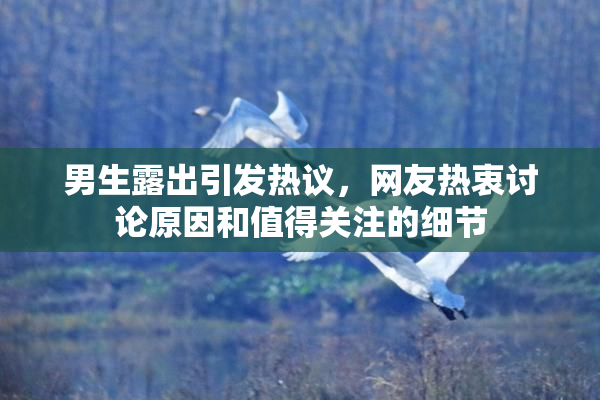 男生露出引发热议，网友热衷讨论原因和值得关注的细节