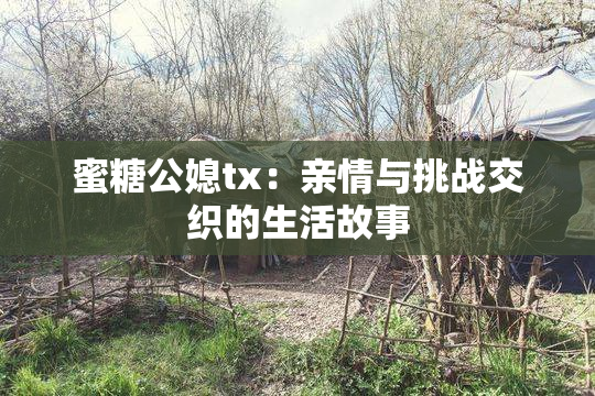 蜜糖公媳tx：亲情与挑战交织的生活故事