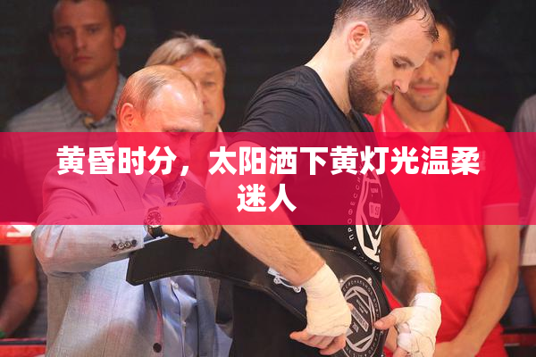 黄昏时分，太阳洒下黄灯光温柔迷人