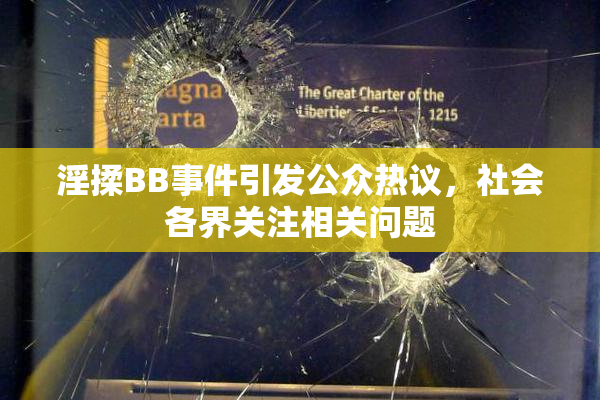 淫揉BB事件引发公众热议，社会各界关注相关问题
