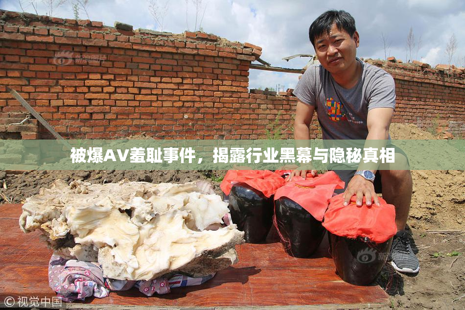 被爆AV羞耻事件，揭露行业黑幕与隐秘真相
