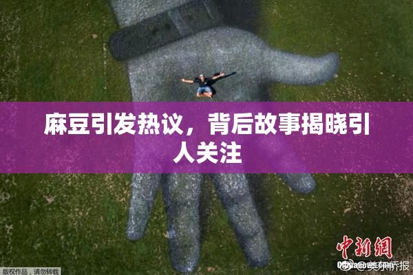 麻豆引发热议，背后故事揭晓引人关注