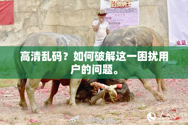 高清乱码？如何破解这一困扰用户的问题。
