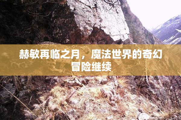 赫敏再临之月，魔法世界的奇幻冒险继续