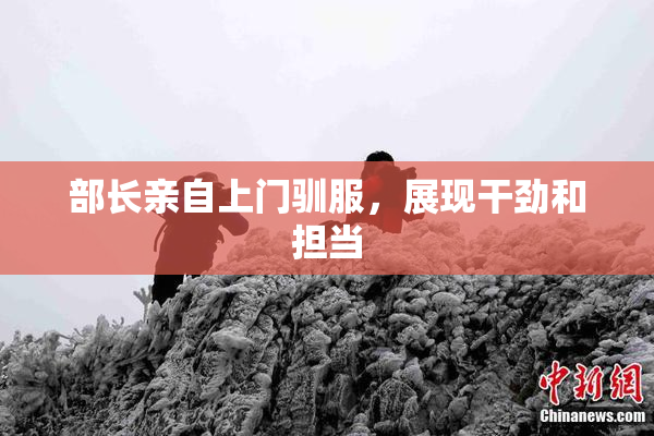 部长亲自上门驯服，展现干劲和担当