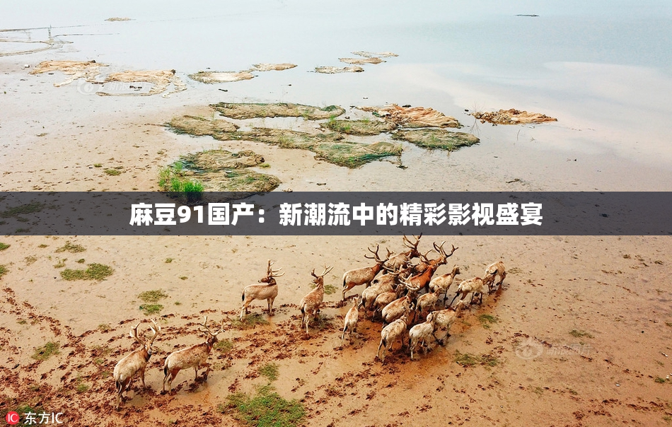 麻豆91国产：新潮流中的精彩影视盛宴