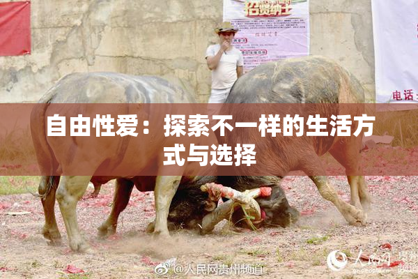 自由性爱：探索不一样的生活方式与选择