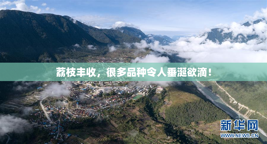 荔枝丰收，很多品种令人垂涎欲滴！