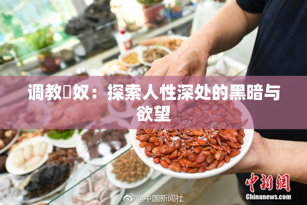 调教婬奴：探索人性深处的黑暗与欲望