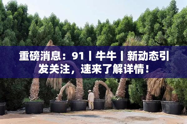 重磅消息：91丨牛牛丨新动态引发关注，速来了解详情！