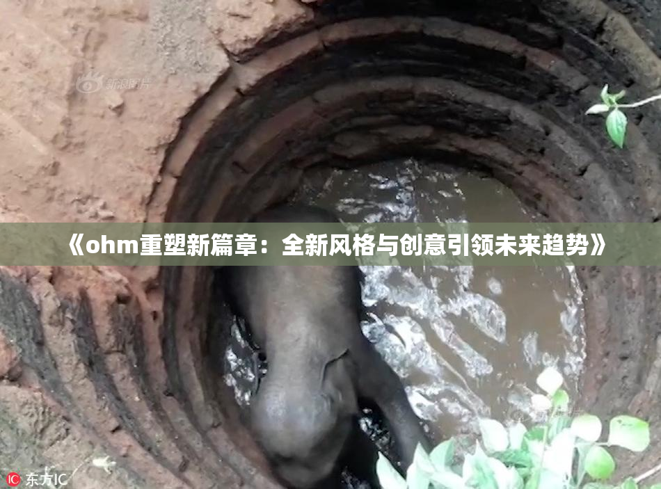 《ohm重塑新篇章：全新风格与创意引领未来趋势》
