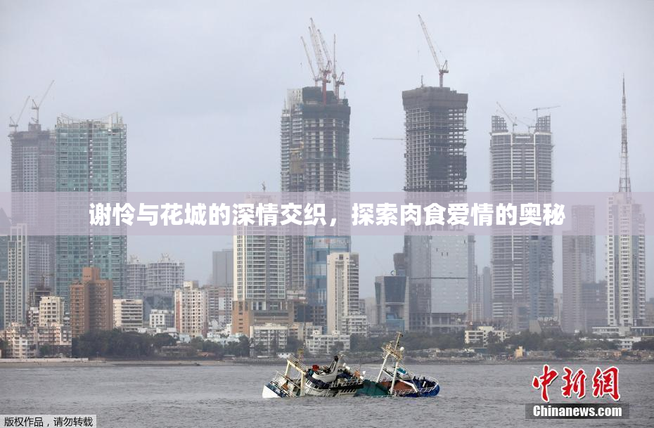 谢怜与花城的深情交织，探索肉食爱情的奥秘