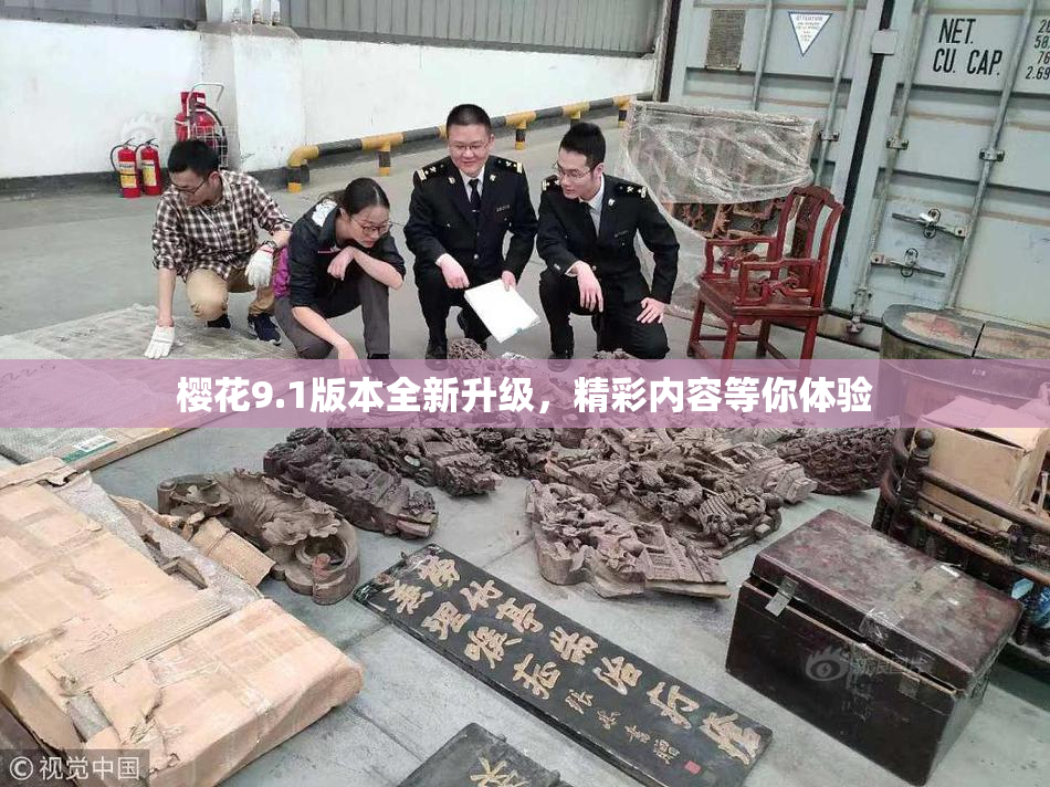 樱花9.1版本全新升级，精彩内容等你体验