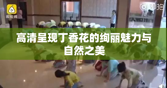 高清呈现丁香花的绚丽魅力与自然之美