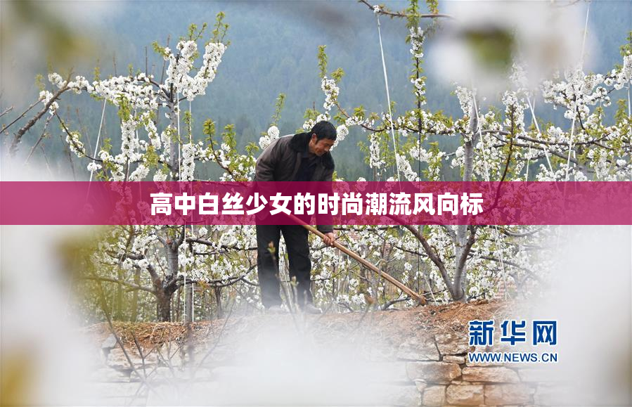 高中白丝少女的时尚潮流风向标