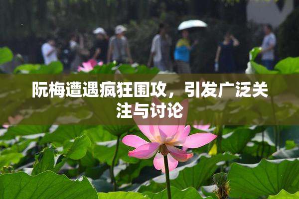 阮梅遭遇疯狂围攻，引发广泛关注与讨论