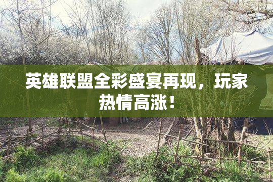 英雄联盟全彩盛宴再现，玩家热情高涨！