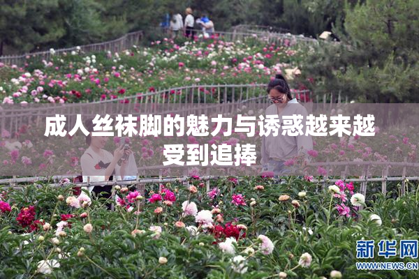 成人丝袜脚的魅力与诱惑越来越受到追捧