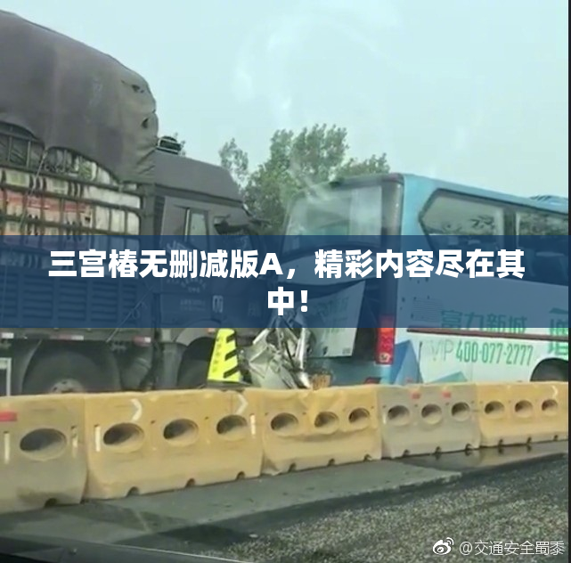 三宫椿无删减版A，精彩内容尽在其中！