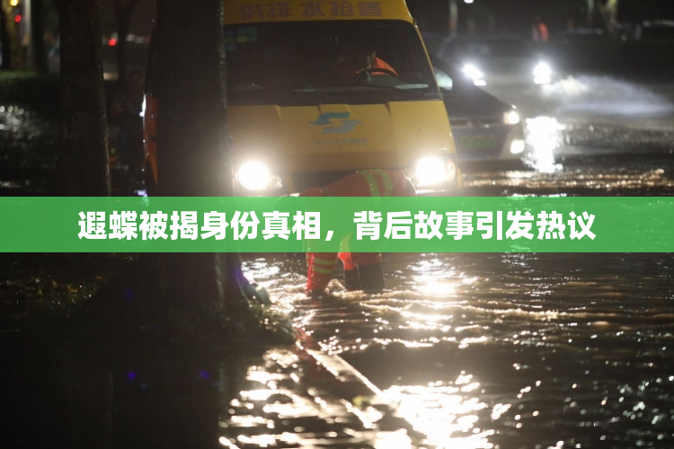 遐蝶被揭身份真相，背后故事引发热议