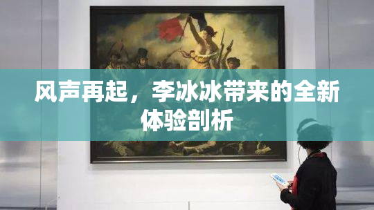 风声再起，李冰冰带来的全新体验剖析