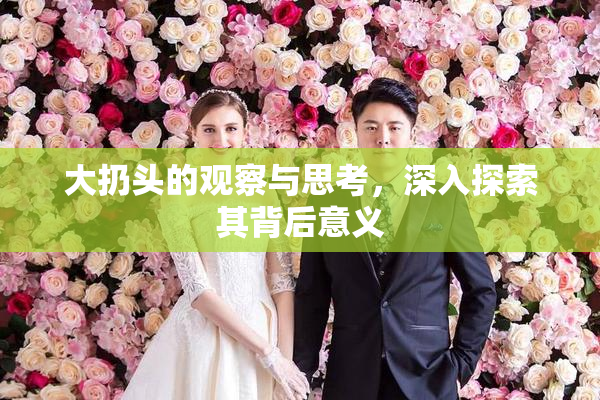 大扔头的观察与思考，深入探索其背后意义