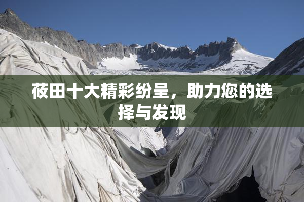 莜田十大精彩纷呈，助力您的选择与发现