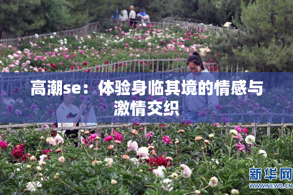 高潮se：体验身临其境的情感与激情交织
