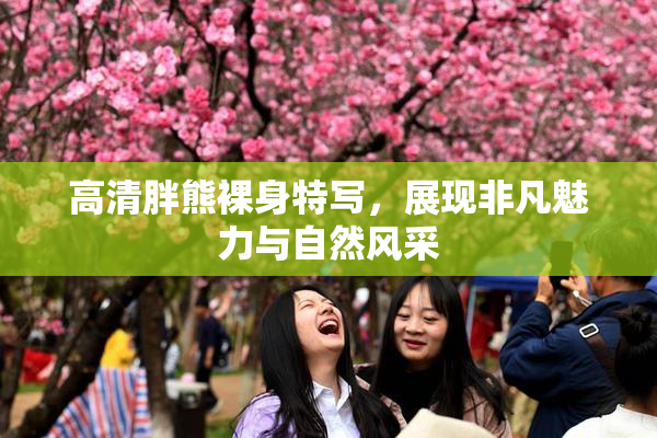高清胖熊裸身特写，展现非凡魅力与自然风采