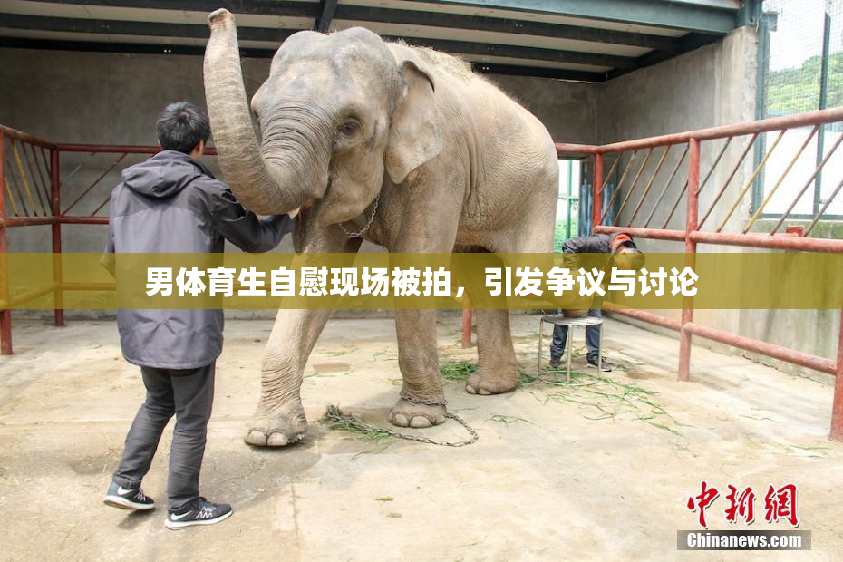 男体育生自慰现场被拍，引发争议与讨论