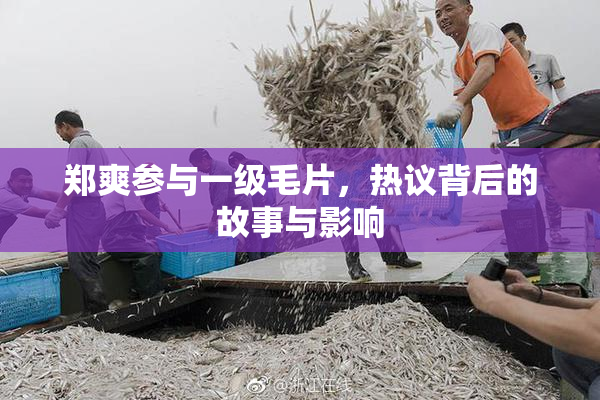 郑爽参与一级毛片，热议背后的故事与影响