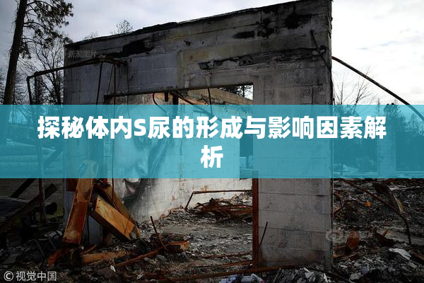 探秘体内S尿的形成与影响因素解析