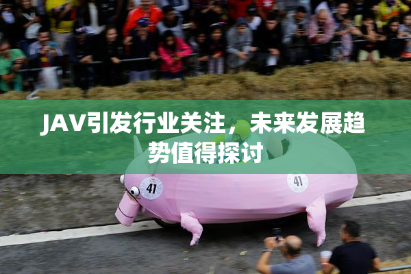 JAV引发行业关注，未来发展趋势值得探讨