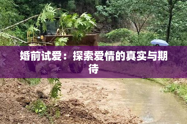 婚前试爱：探索爱情的真实与期待
