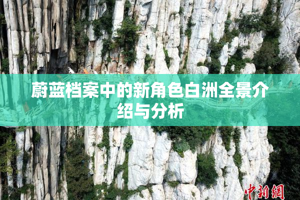 蔚蓝档案中的新角色白洲全景介绍与分析