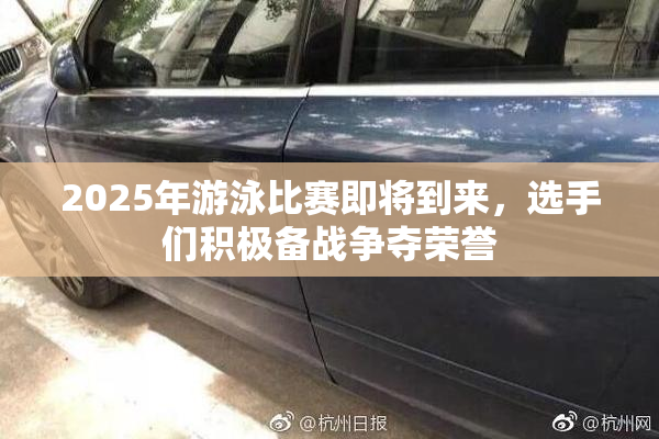 2025年游泳比赛即将到来，选手们积极备战争夺荣誉