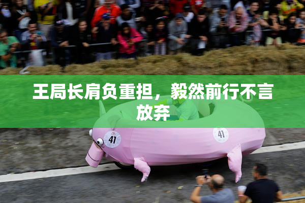 王局长肩负重担，毅然前行不言放弃