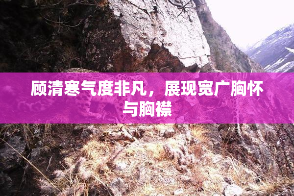 顾清寒气度非凡，展现宽广胸怀与胸襟
