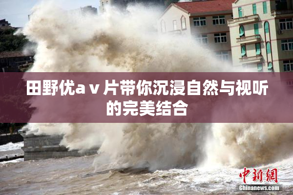 田野优aⅴ片带你沉浸自然与视听的完美结合