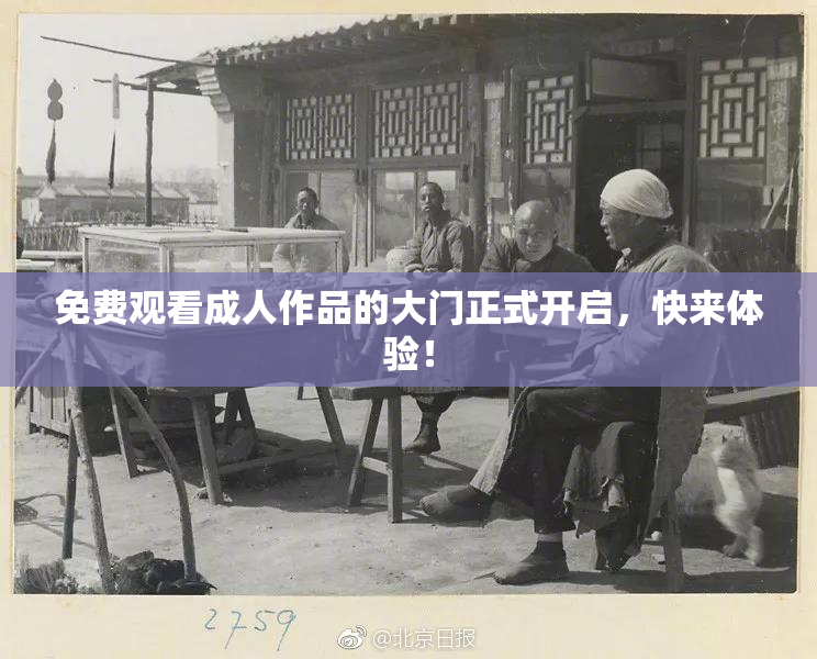 免费观看成人作品的大门正式开启，快来体验！